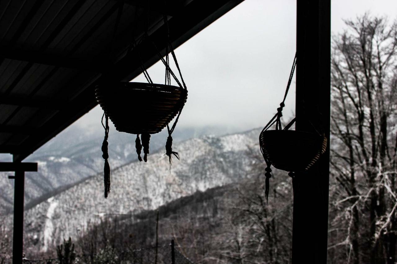 B&B Pian Savin Giaveno Dış mekan fotoğraf