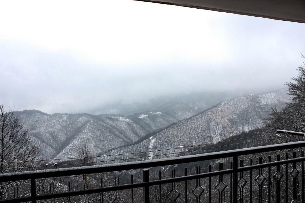 B&B Pian Savin Giaveno Dış mekan fotoğraf