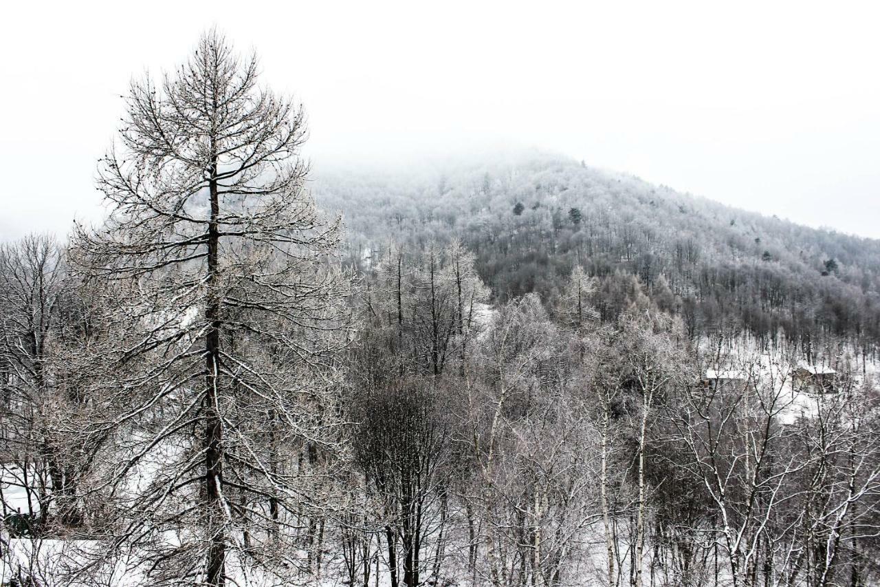 B&B Pian Savin Giaveno Dış mekan fotoğraf